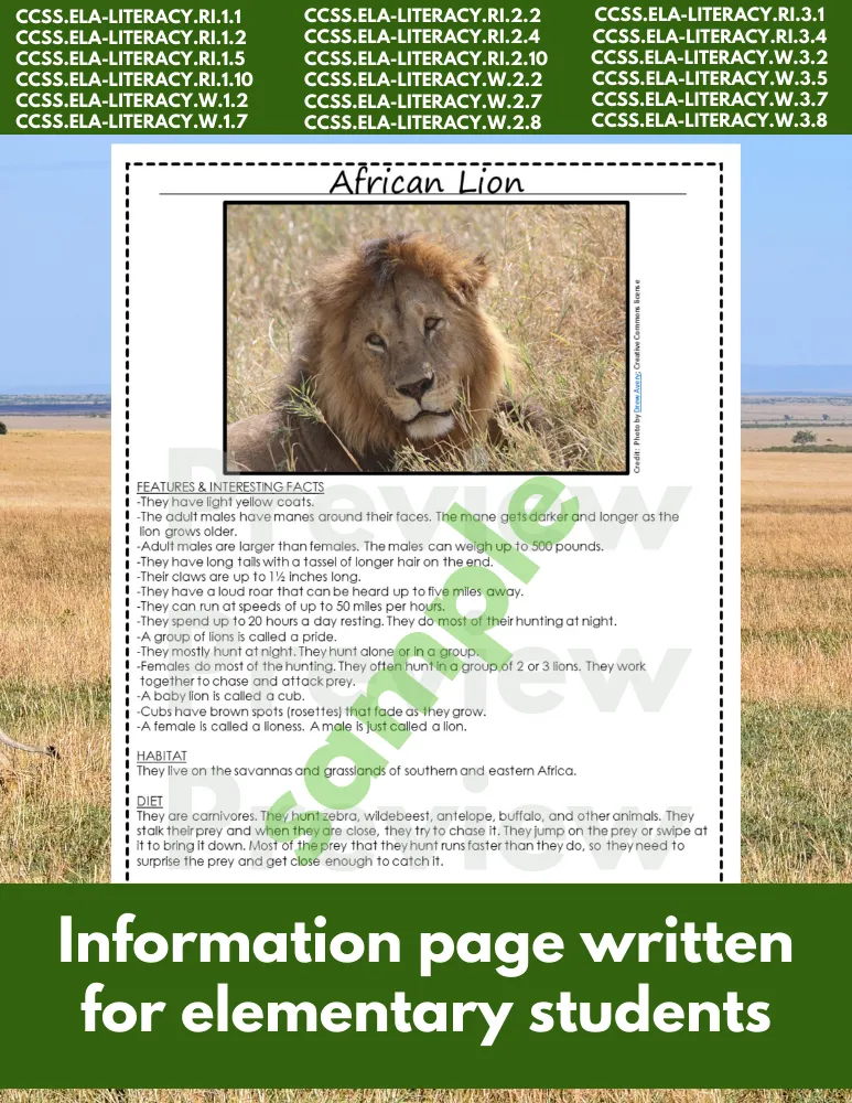 African lion Animal Research Pages for animal research paper