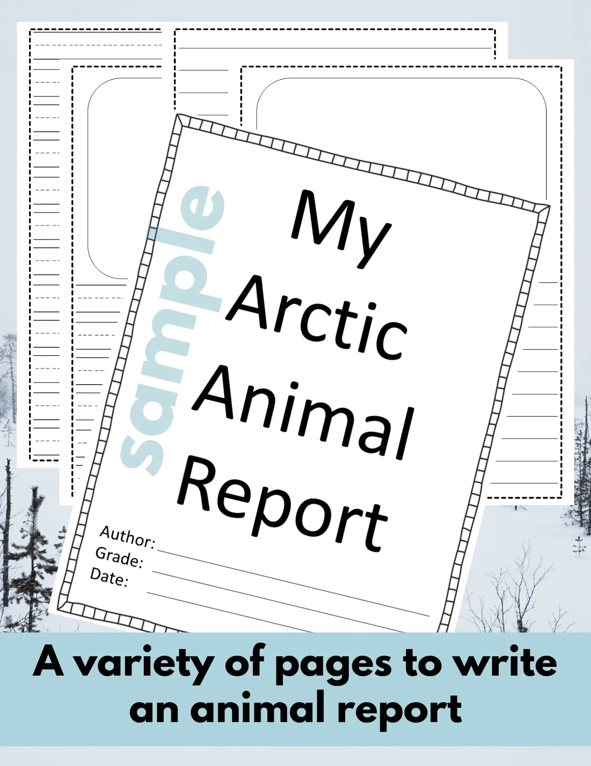 Arctic Ground Squirrel Animal Research Page for animal research report or reading