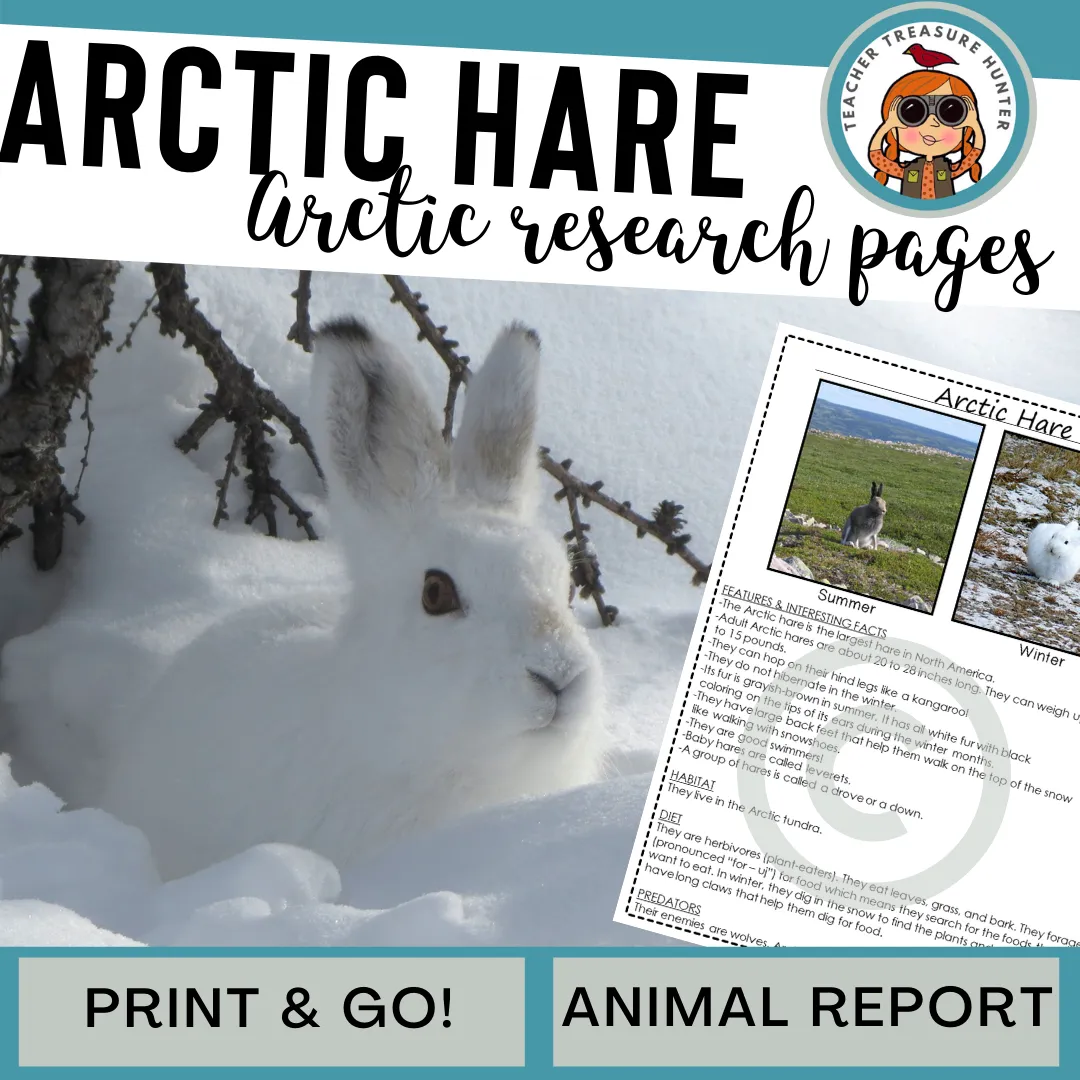 Arctic Hare Animal Research Pages for animal research paper