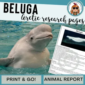 Beluga whale Animal Research Pages for research and writing animal reports