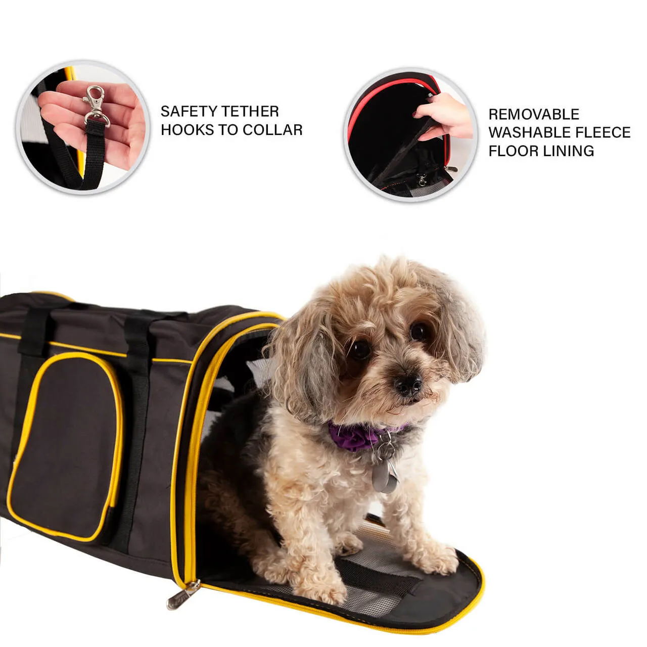 Central Florida 16" Premium Pet Carrier