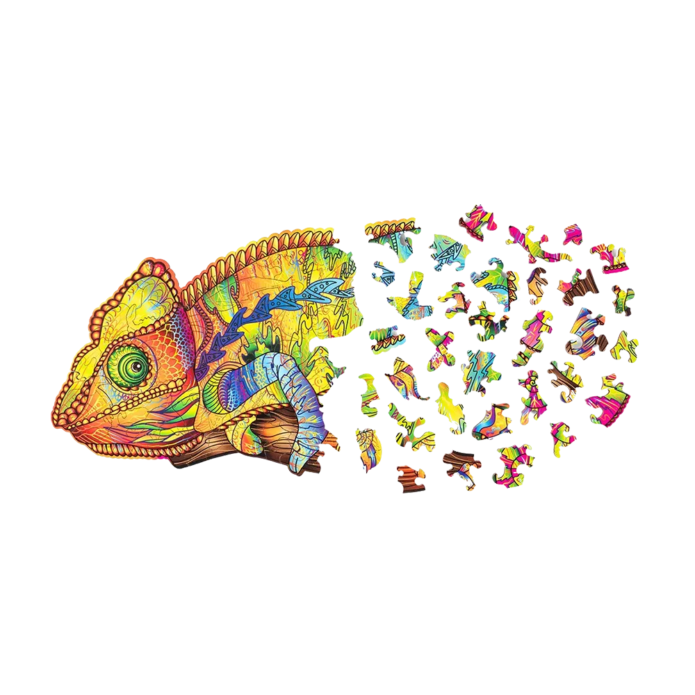 Colorful Chameleon