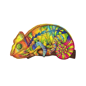 Colorful Chameleon