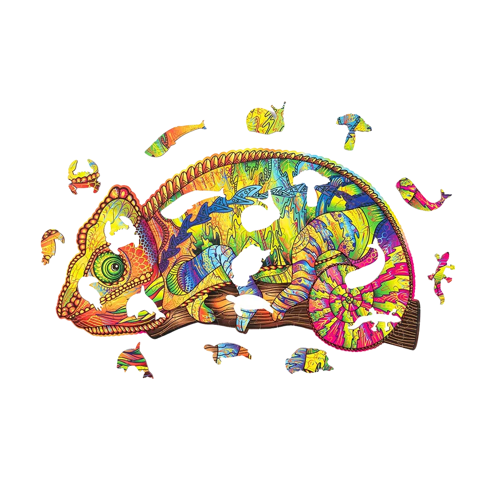 Colorful Chameleon