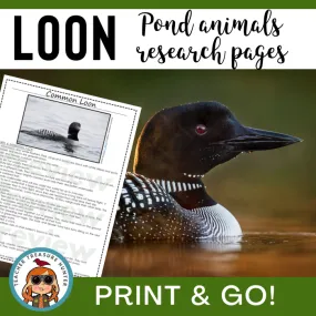 Common Loon Animal Research Pages for pond study and writing activity