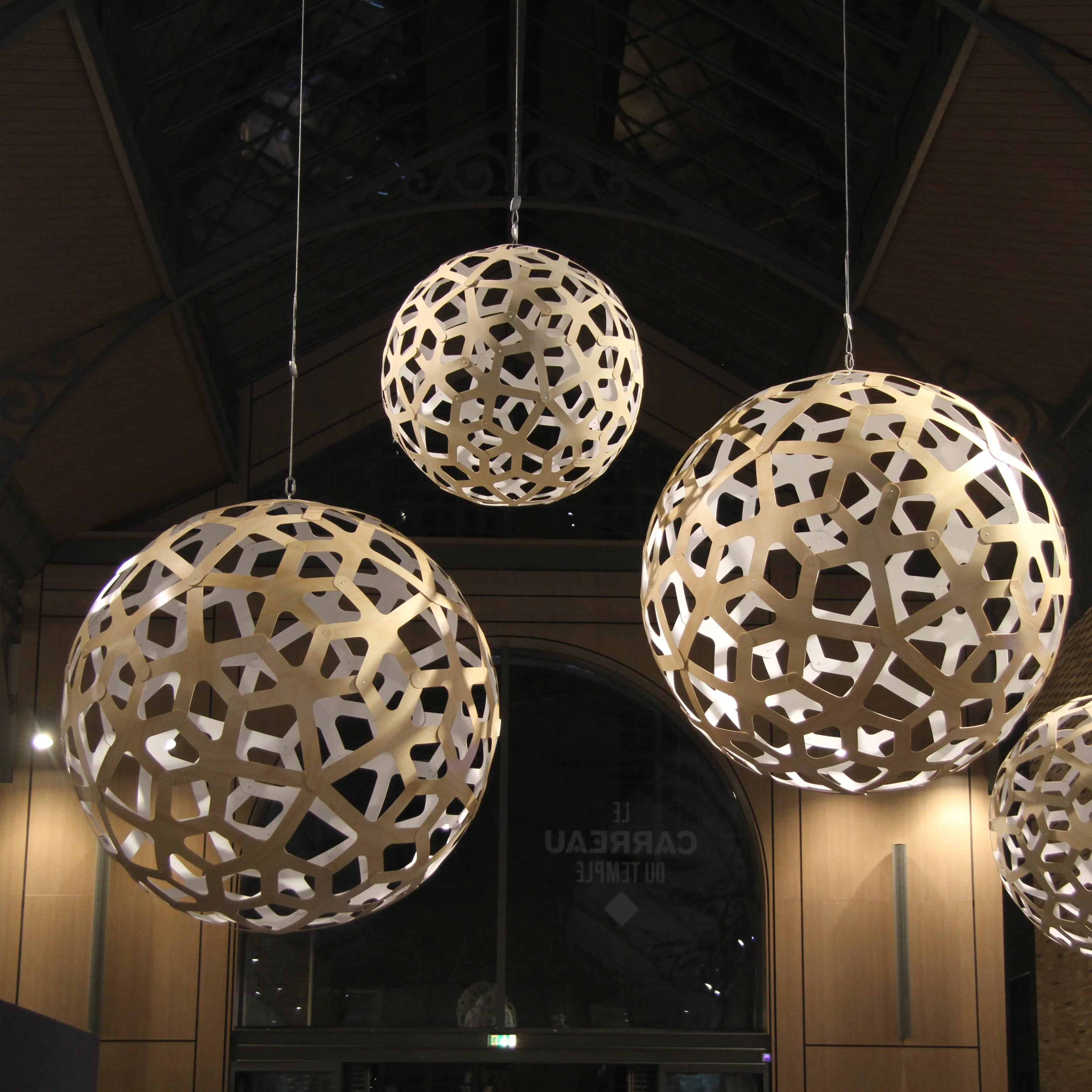 Coral Pendant Light: Extra Large