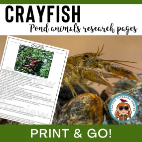 Crayfish Animal Research Pages for pond study and writing activity