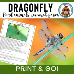 Dragonfly Animal Research Pages for pond study and writing activity