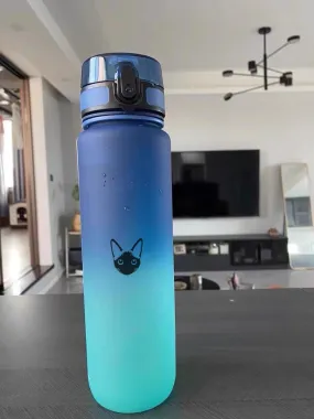 Drinking water bottles, leak proof BPA and non-toxic, for daily use