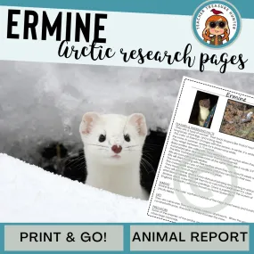 Ermine Arctic Animal Research Pages for animal research paper