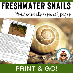 Freshwater Snails Animal Research Pages for pond study and writing activity