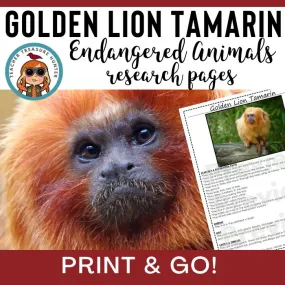 Golden Lion Tamarin | Endangered Animal research page for animal report