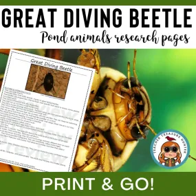 Great Diving Beetle Animal Research Pages for pond study and writing activity