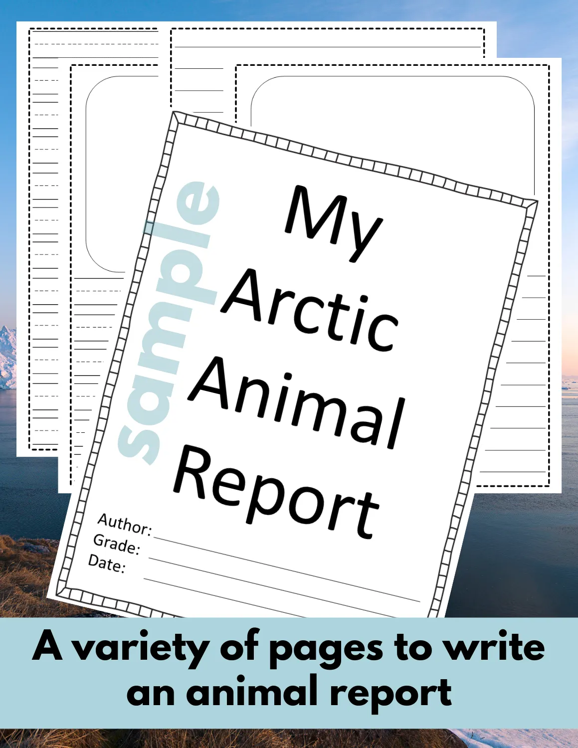 Harp Seal Arctic Animal Research Page for learning about Arctic animals