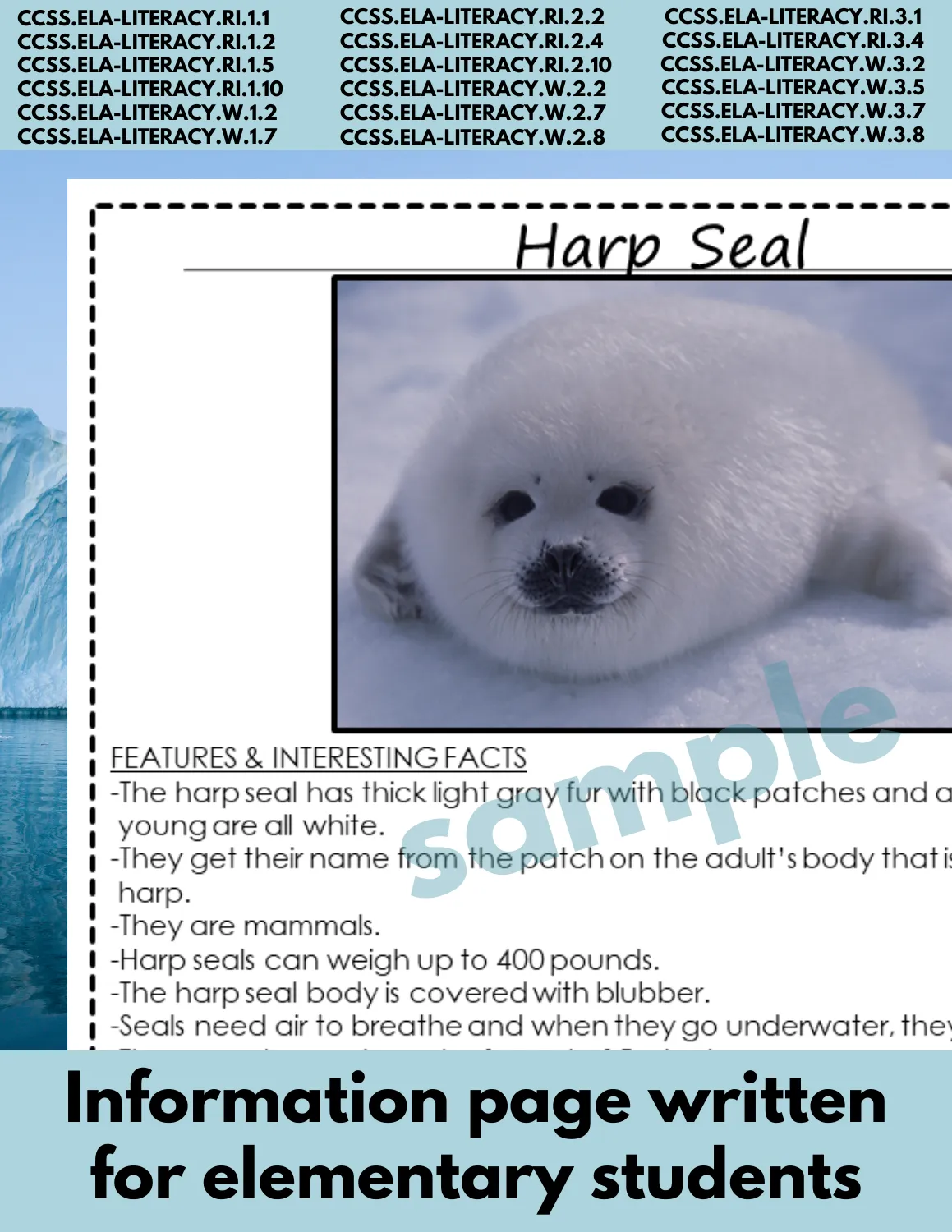 Harp Seal Arctic Animal Research Page for learning about Arctic animals