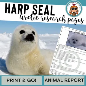 Harp Seal Arctic Animal Research Page for learning about Arctic animals