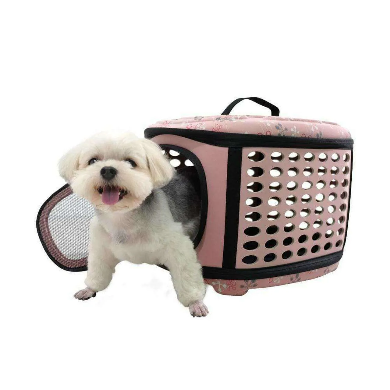 Ibiyaya Collapsible Traveling Hand Pet Carrier