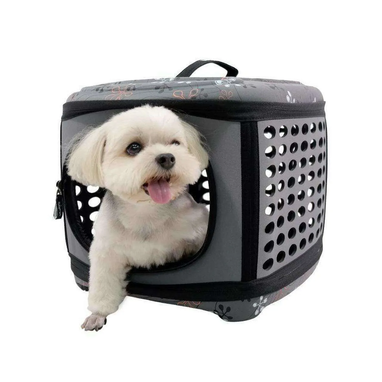 Ibiyaya Collapsible Traveling Hand Pet Carrier