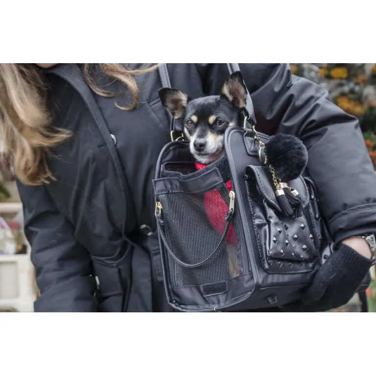 InnoPet Traveller Pet Carrier