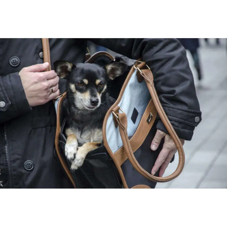 InnoPet Traveller Pet Carrier