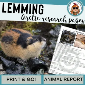 Lemming Animal Research Pages for learning about Arctic animals