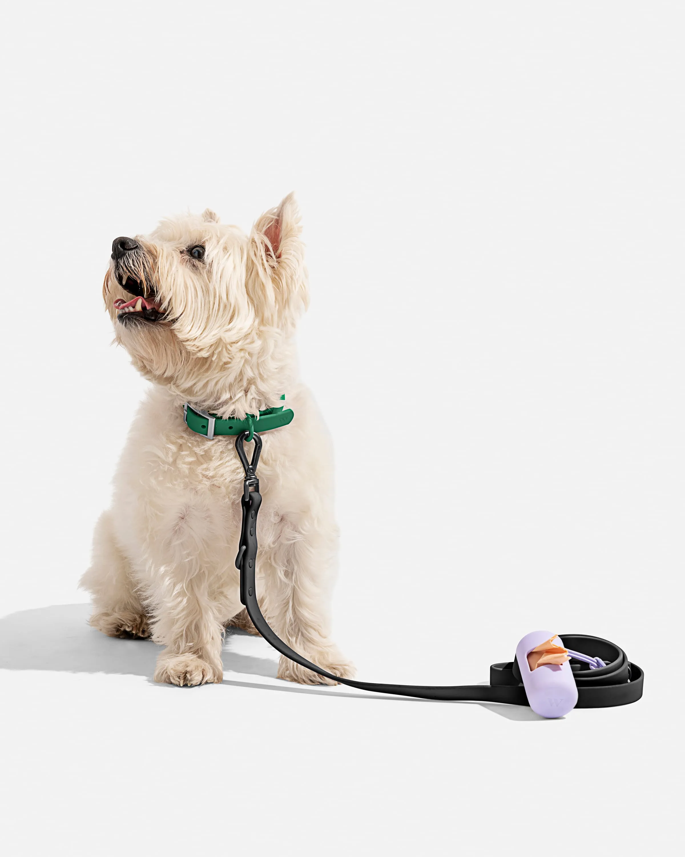 Mix & Match Collar Walk Kit