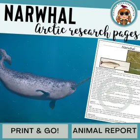 Narwhal Animal Research Pages for learning about Arctic animals