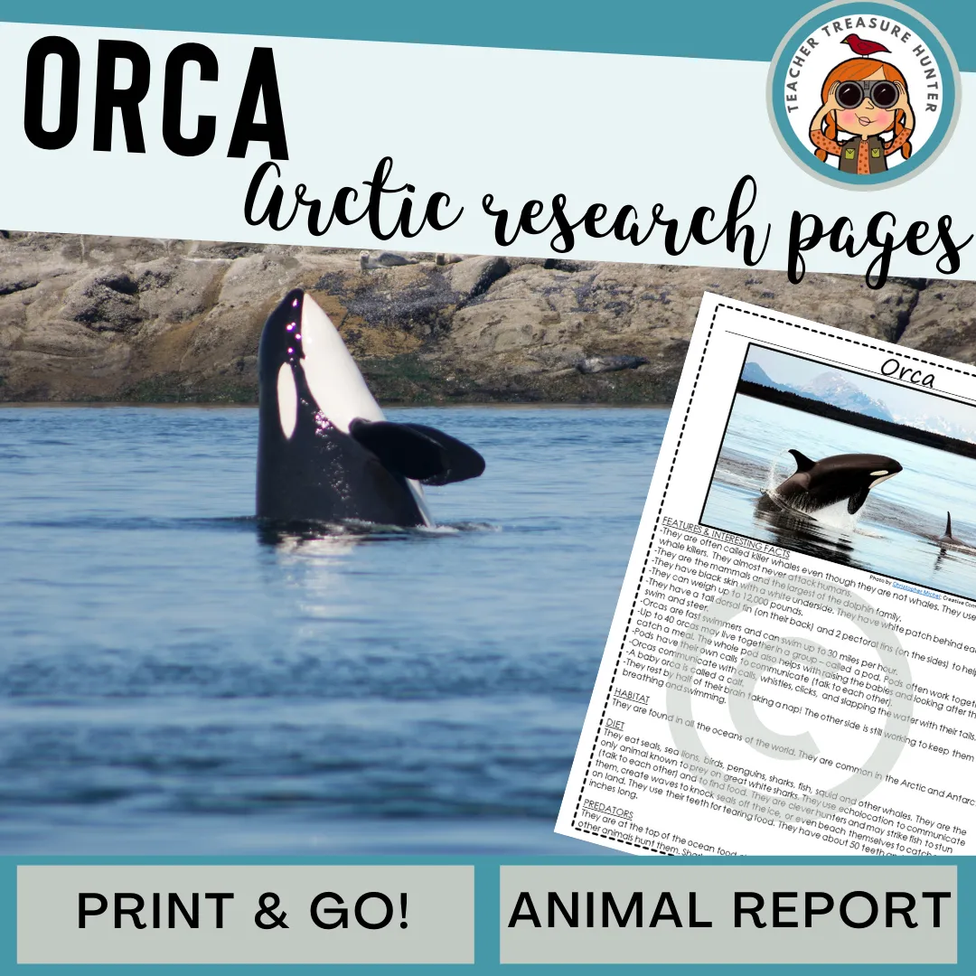 Orca Arctic Animal Research Pages for animal research paper