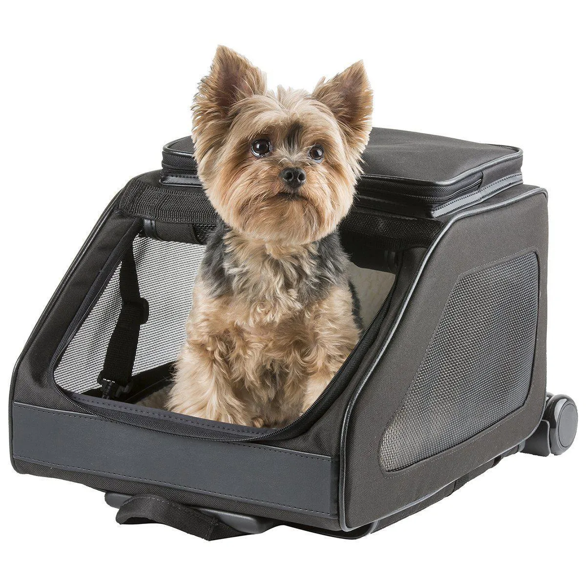 Petote Rio Dog Carrier Black