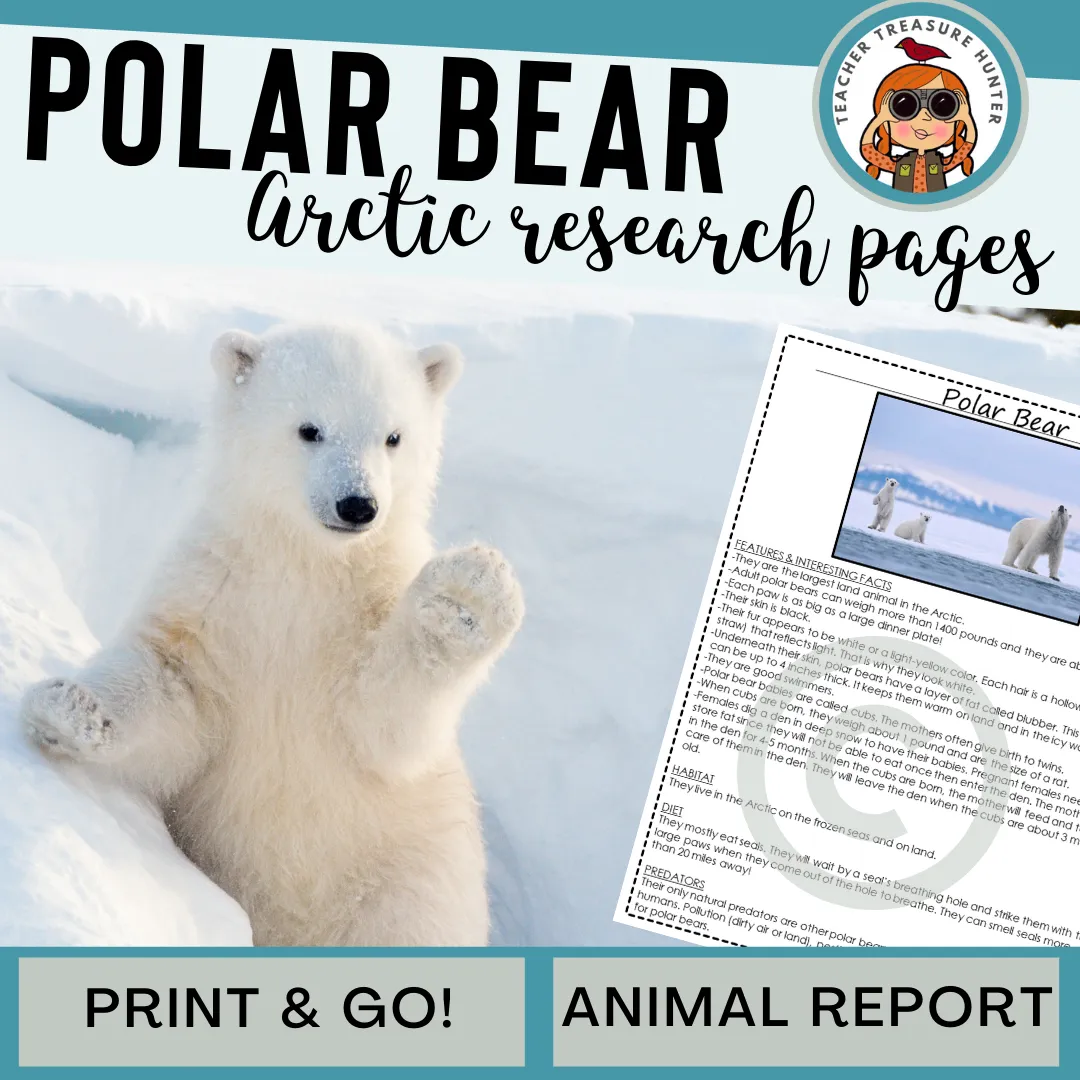 Polar Bear Arctic Animal Research Page for animal research report or reading