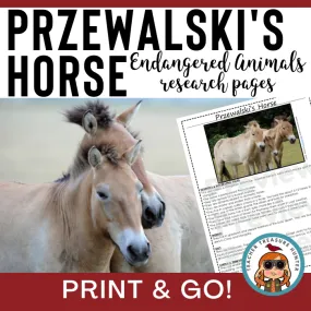 Przewalski's wild horse | Endangered Animal research page for animal report