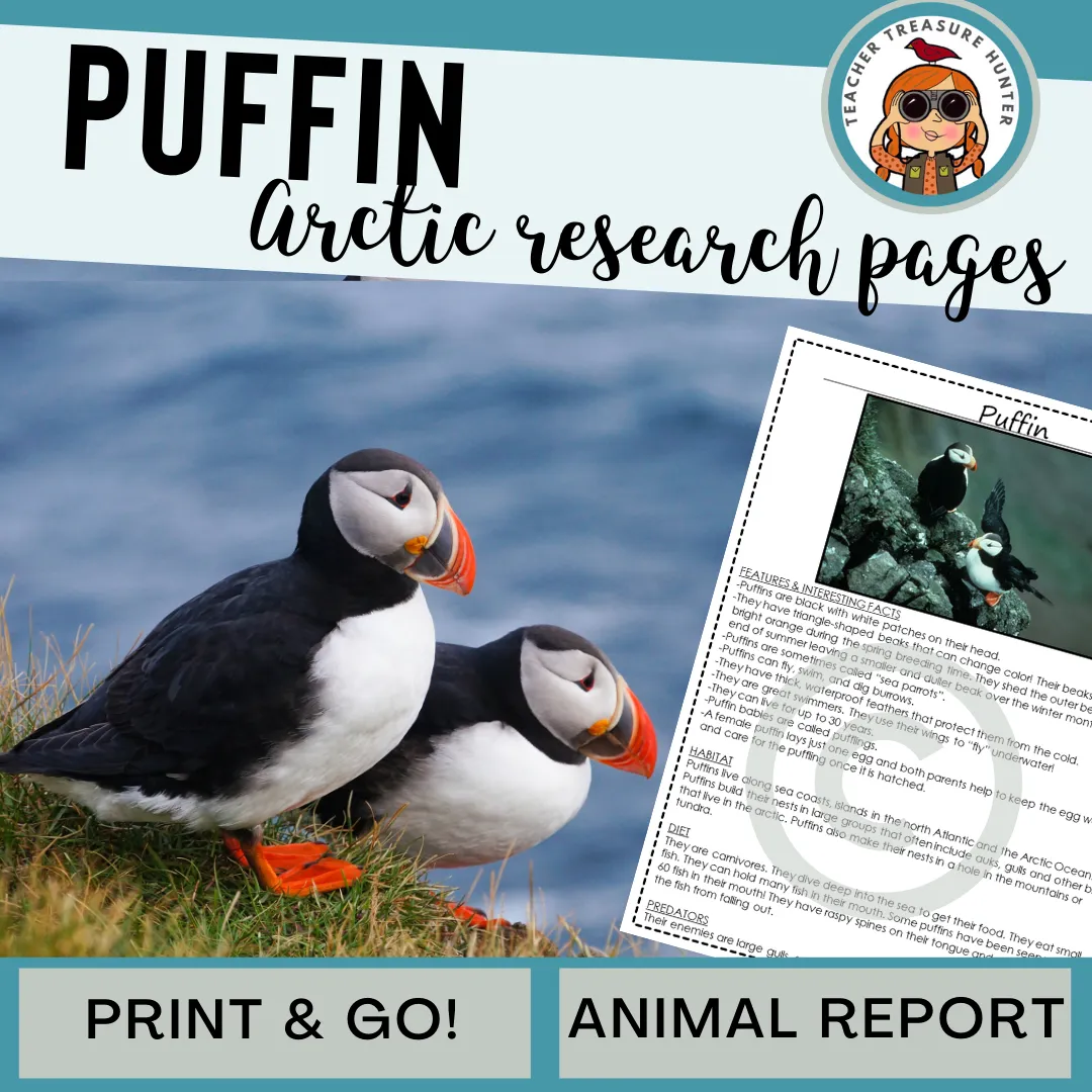 Puffin Arctic Animal Research Page for researching about Arctic animals