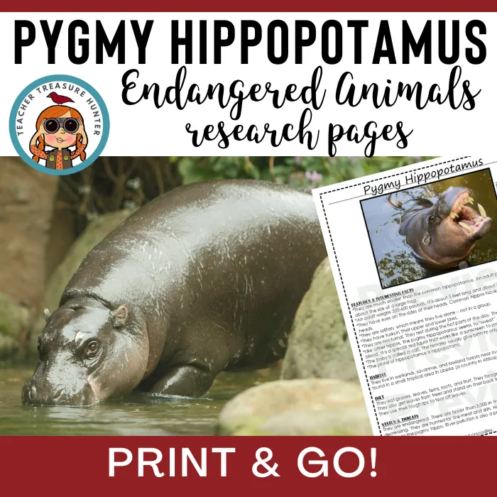 Pygmy Hippopotamus | Endangered Animal research page for animal report