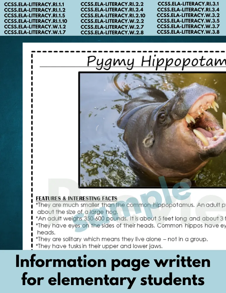 Pygmy Hippopotamus | Endangered Animal research page for animal report