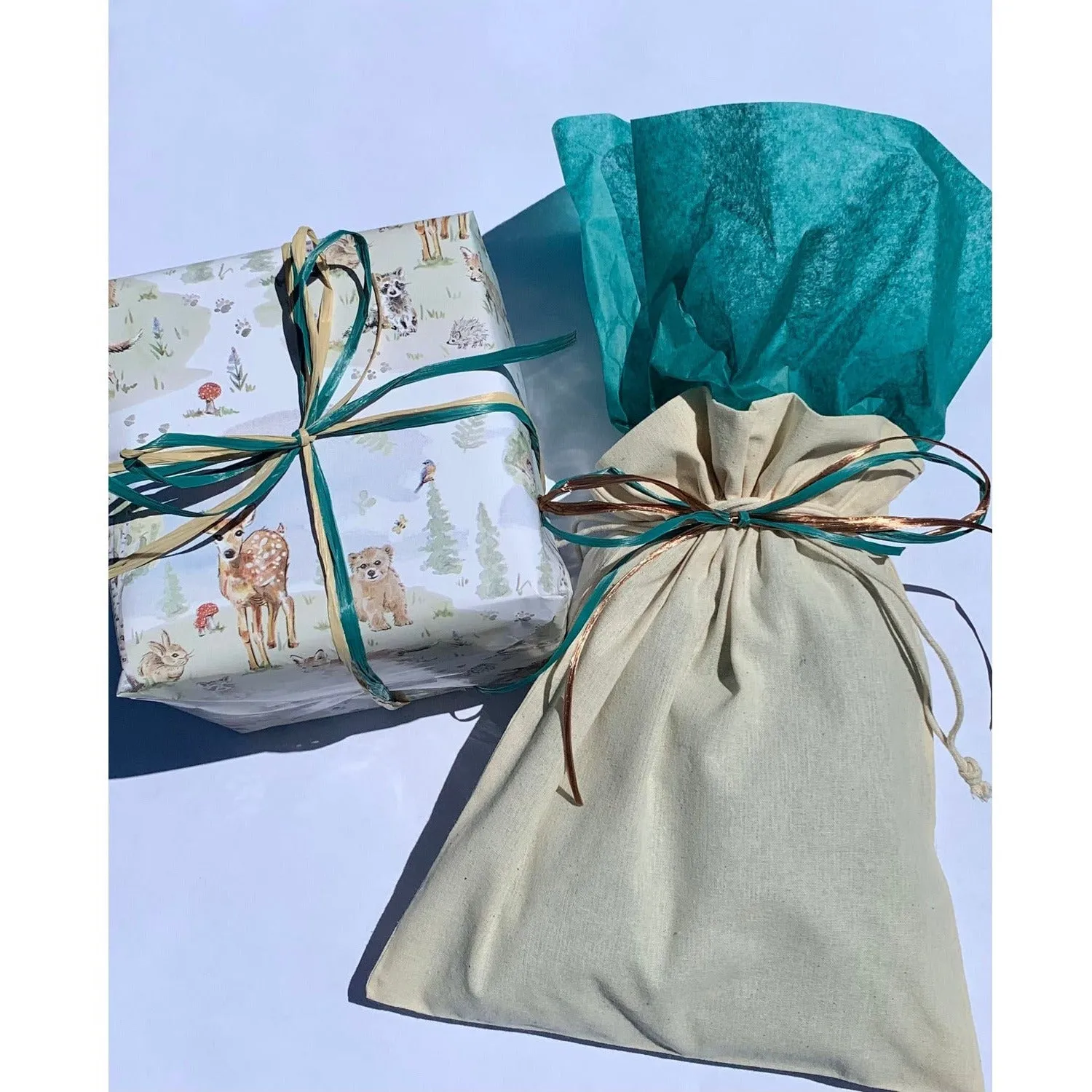 Reusable Gift bag, tissue & ribbon