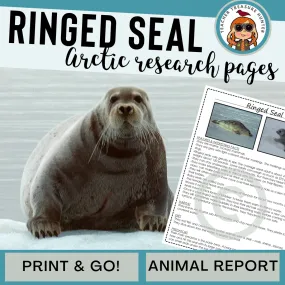 Ringed Seal Arctic Animal Research Page for learning about Arctic animals