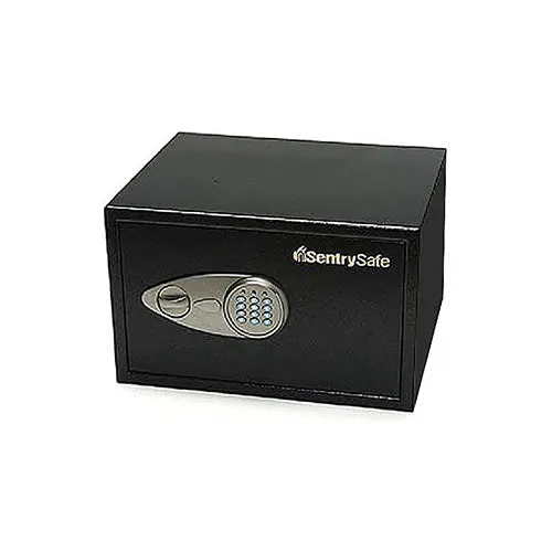 Sentry Anti-Theft Lock Box X125