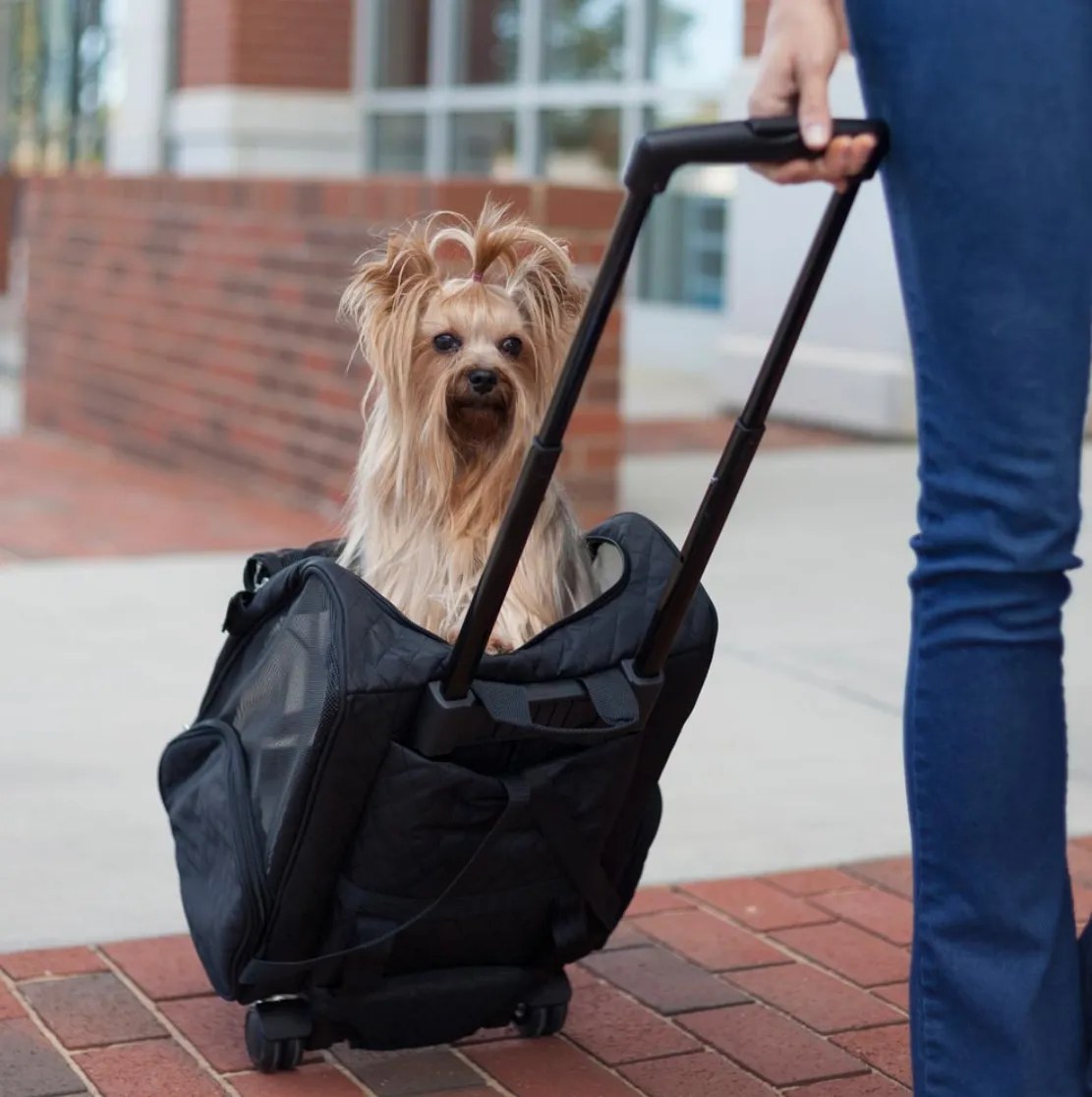 Snoozer Roll Around Travel Dog Carrier Backpack 4-In-1