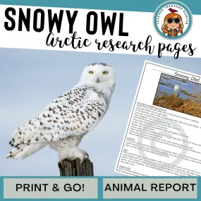 Snowy Owl Animal Research Pages for Arctic animal research report