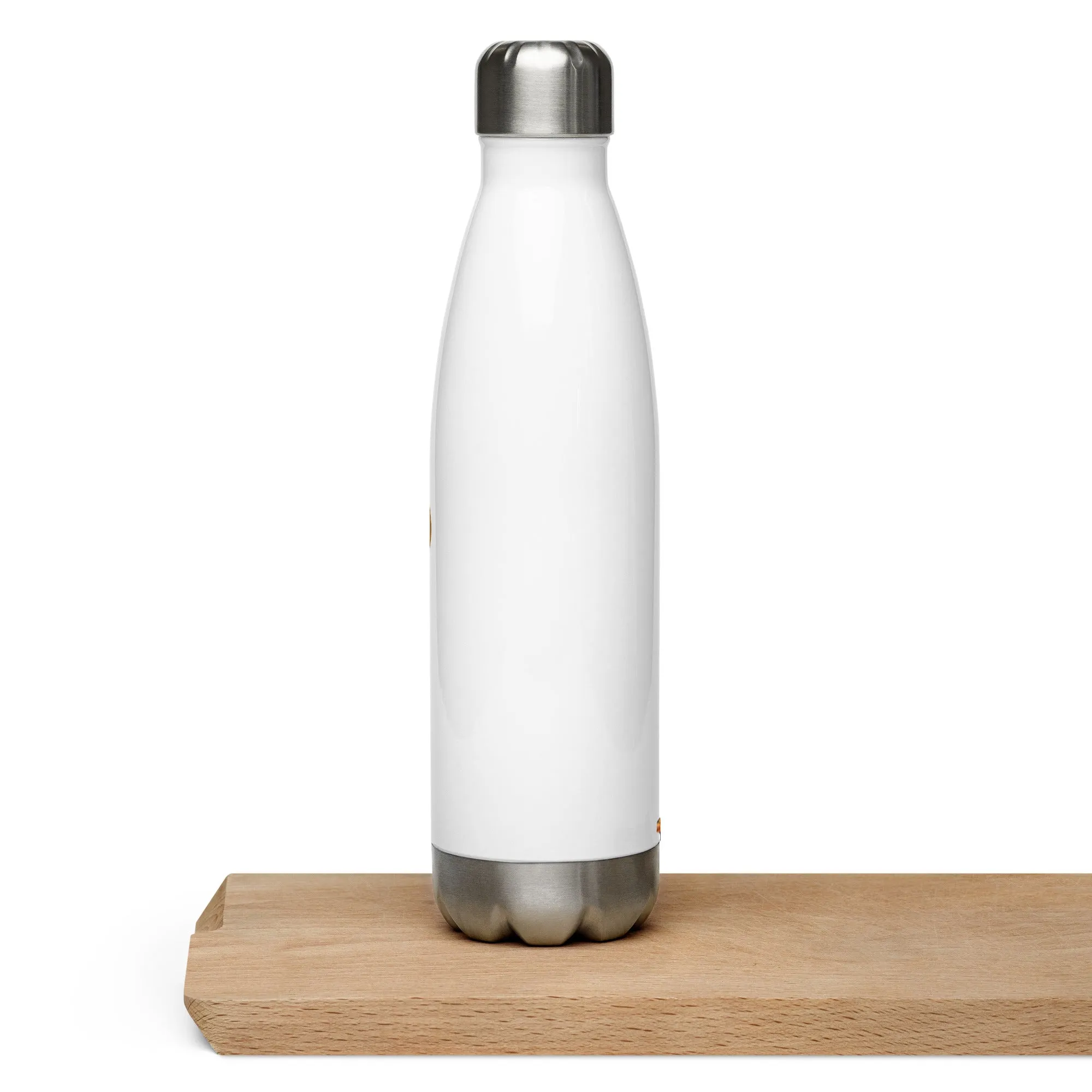 THE TRU MC BRAND Stainless steel water bottle