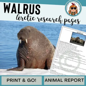 Walrus Animal Research Page for learning about Arctic animals