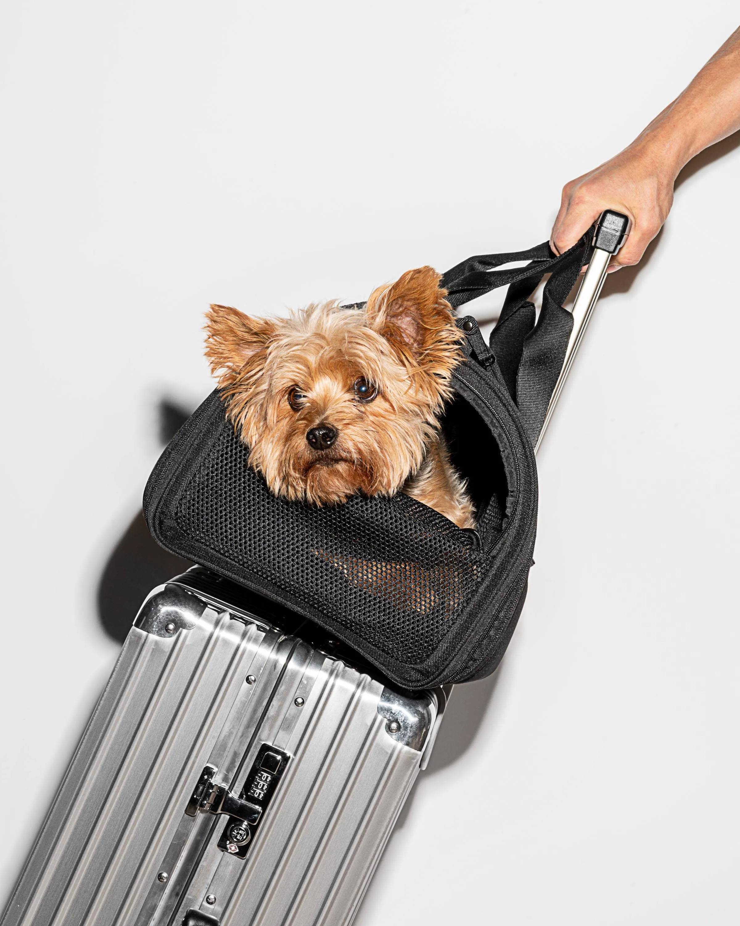 Wild One - Travel TSA Compliant Pet Dog Carrier