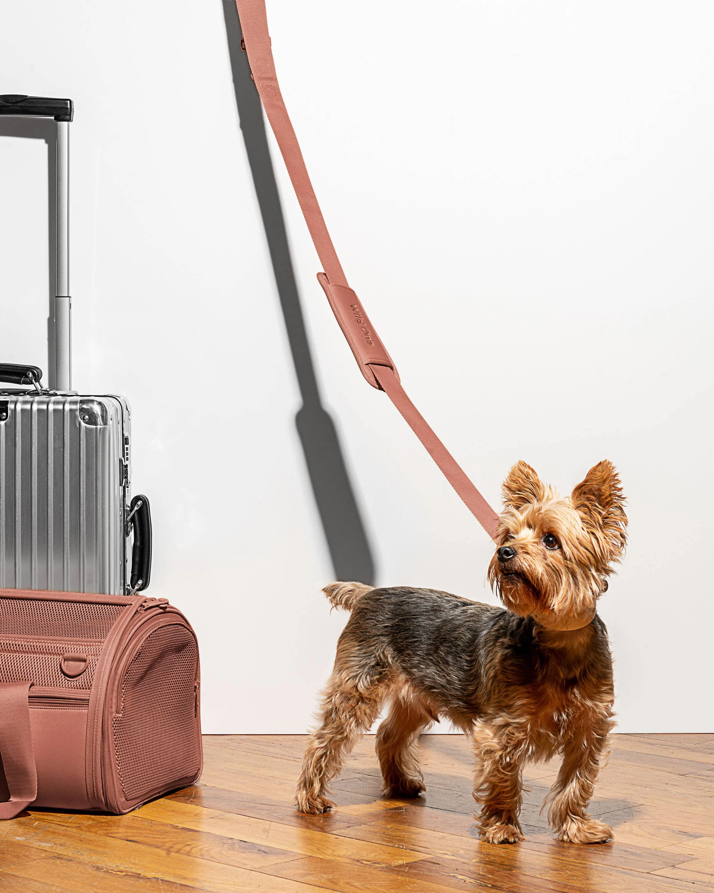 Wild One - Travel TSA Compliant Pet Dog Carrier