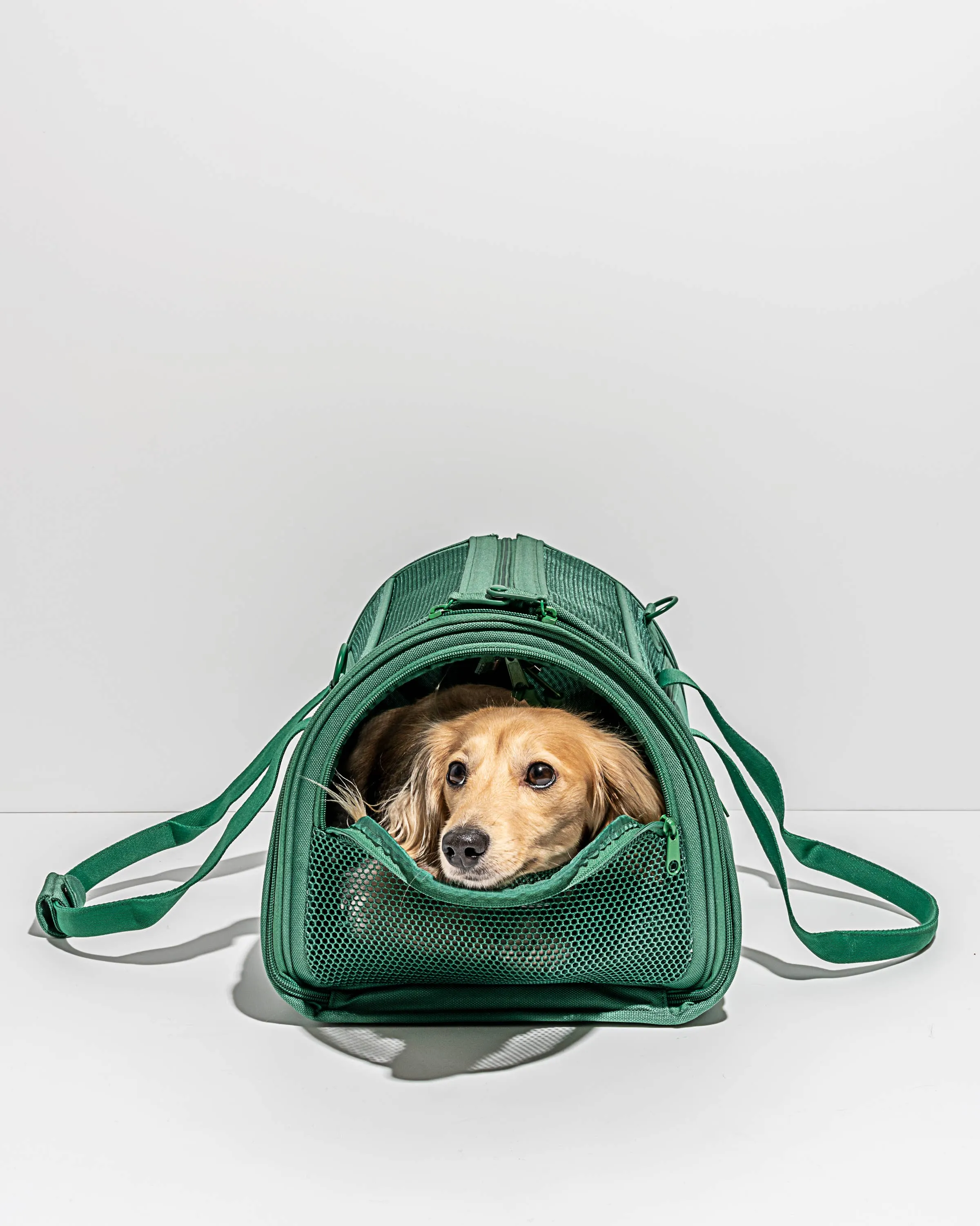 Wild One - Travel TSA Compliant Pet Dog Carrier