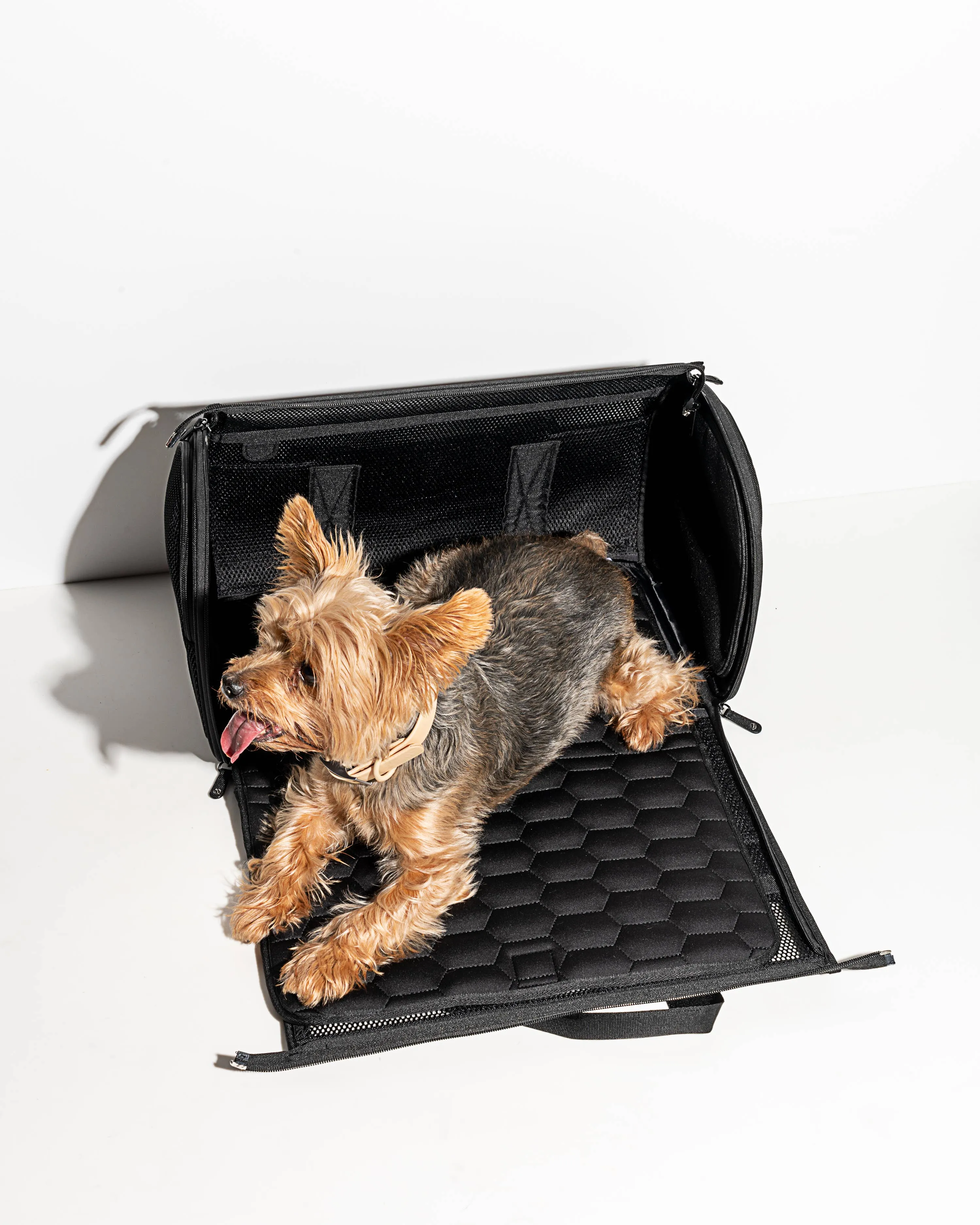 Wild One - Travel TSA Compliant Pet Dog Carrier