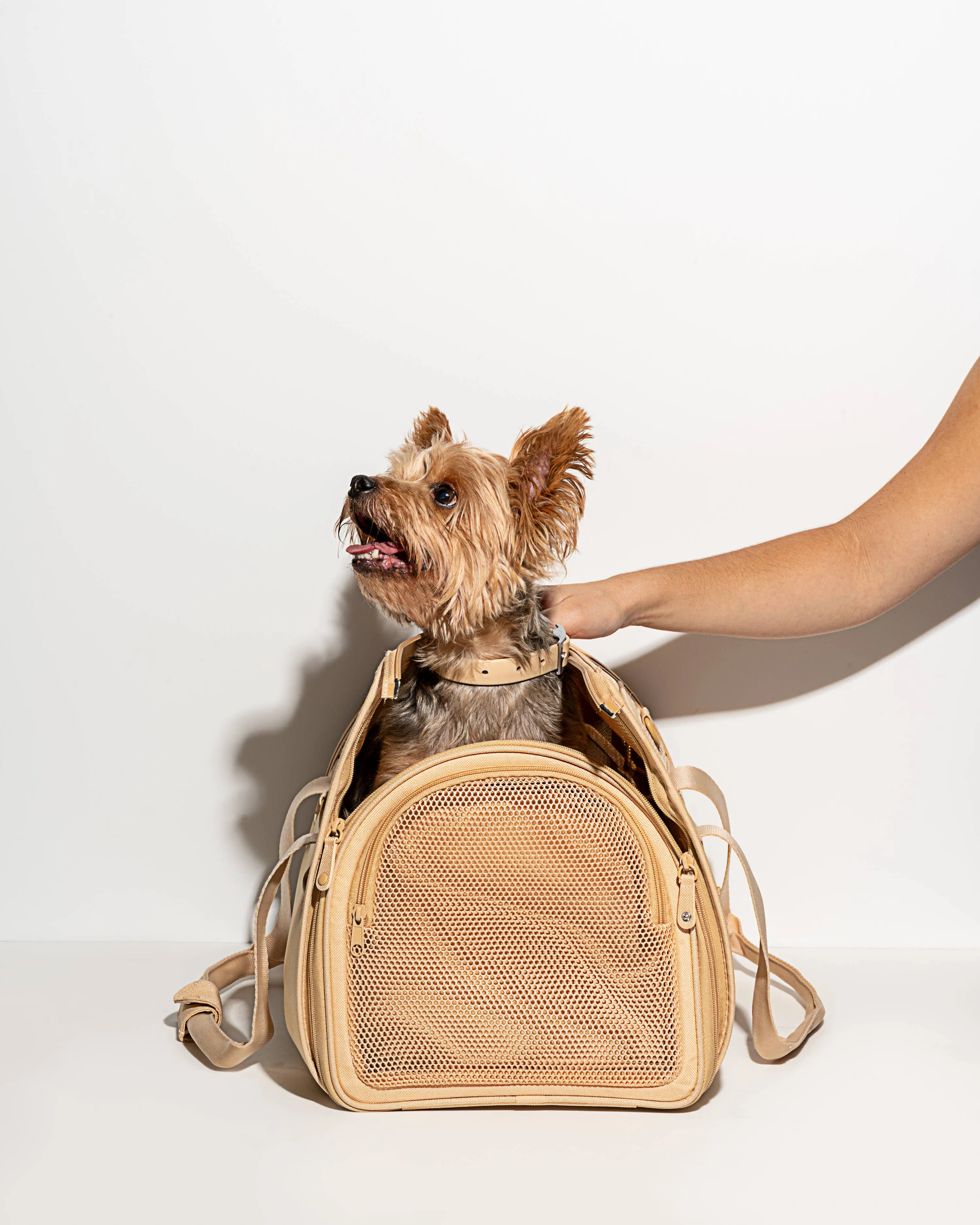 Wild One - Travel TSA Compliant Pet Dog Carrier