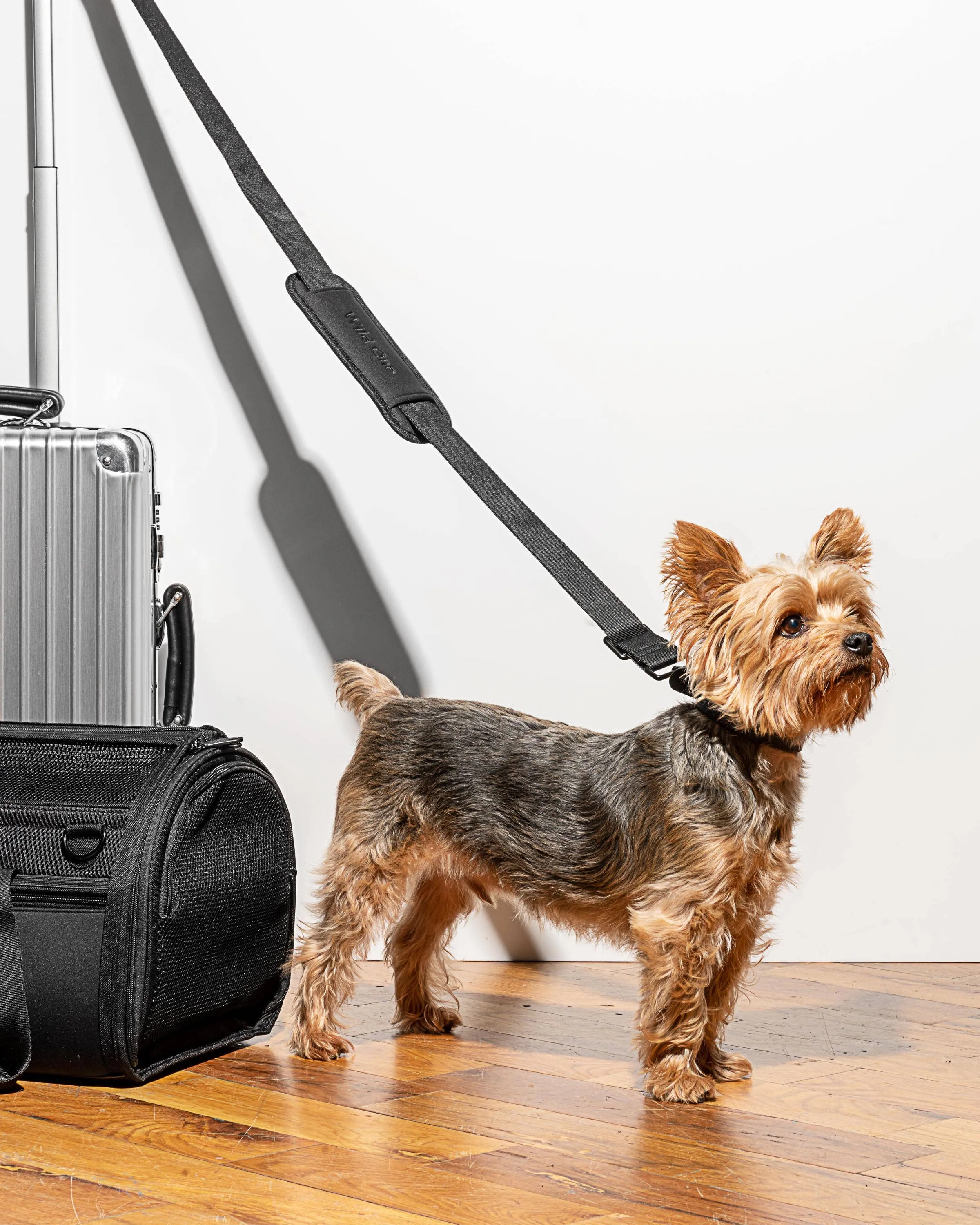 Wild One - Travel TSA Compliant Pet Dog Carrier