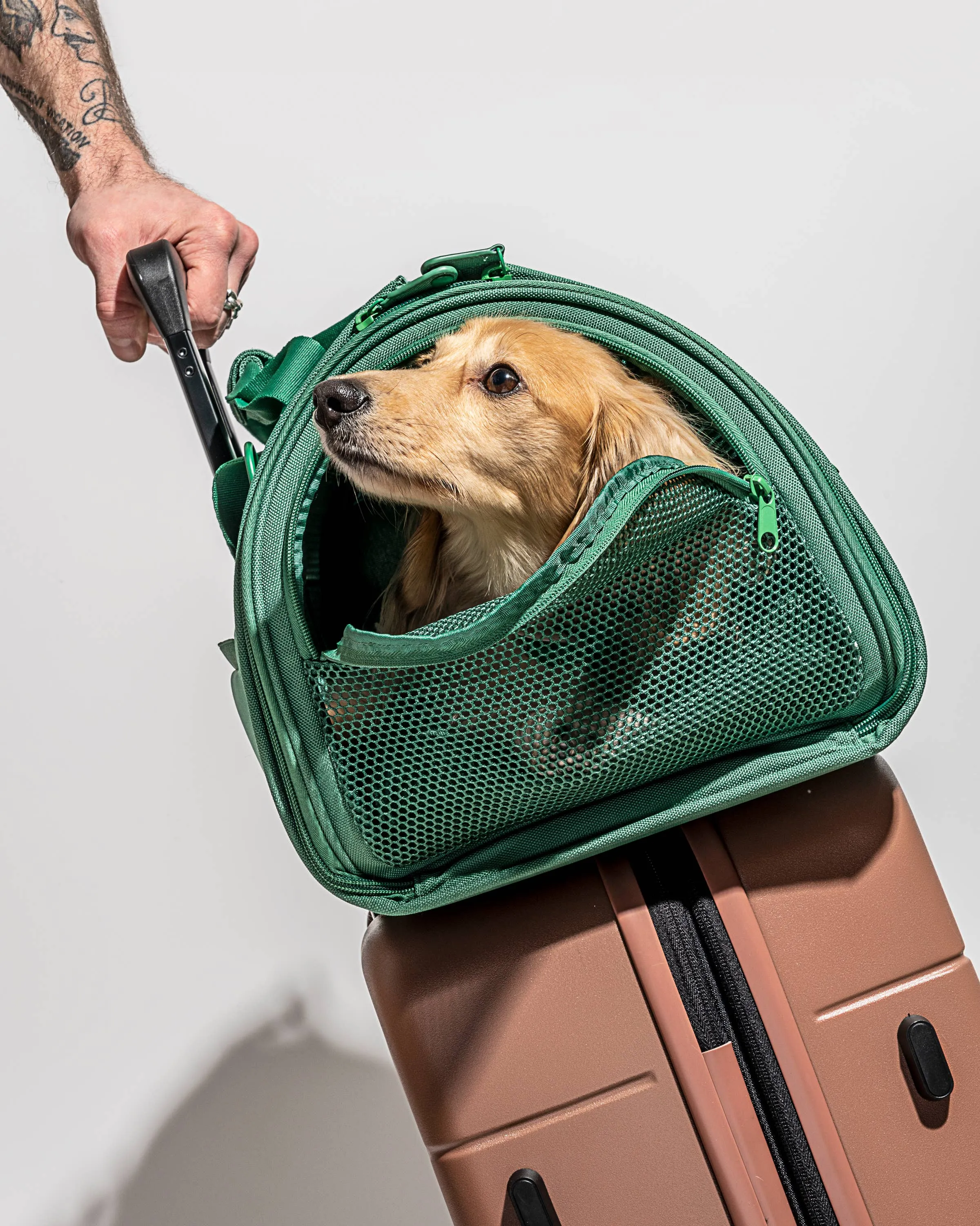 Wild One - Travel TSA Compliant Pet Dog Carrier