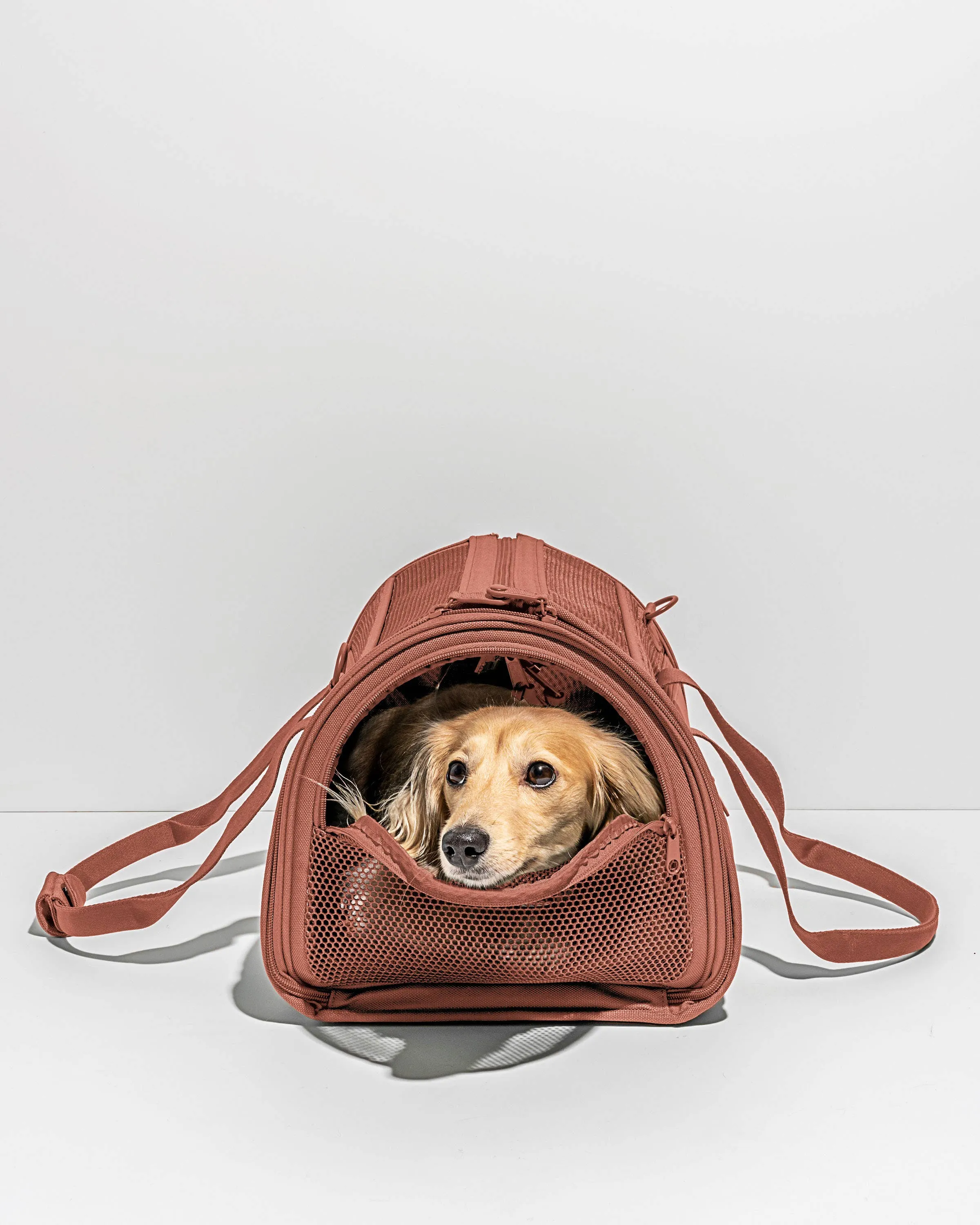 Wild One - Travel TSA Compliant Pet Dog Carrier