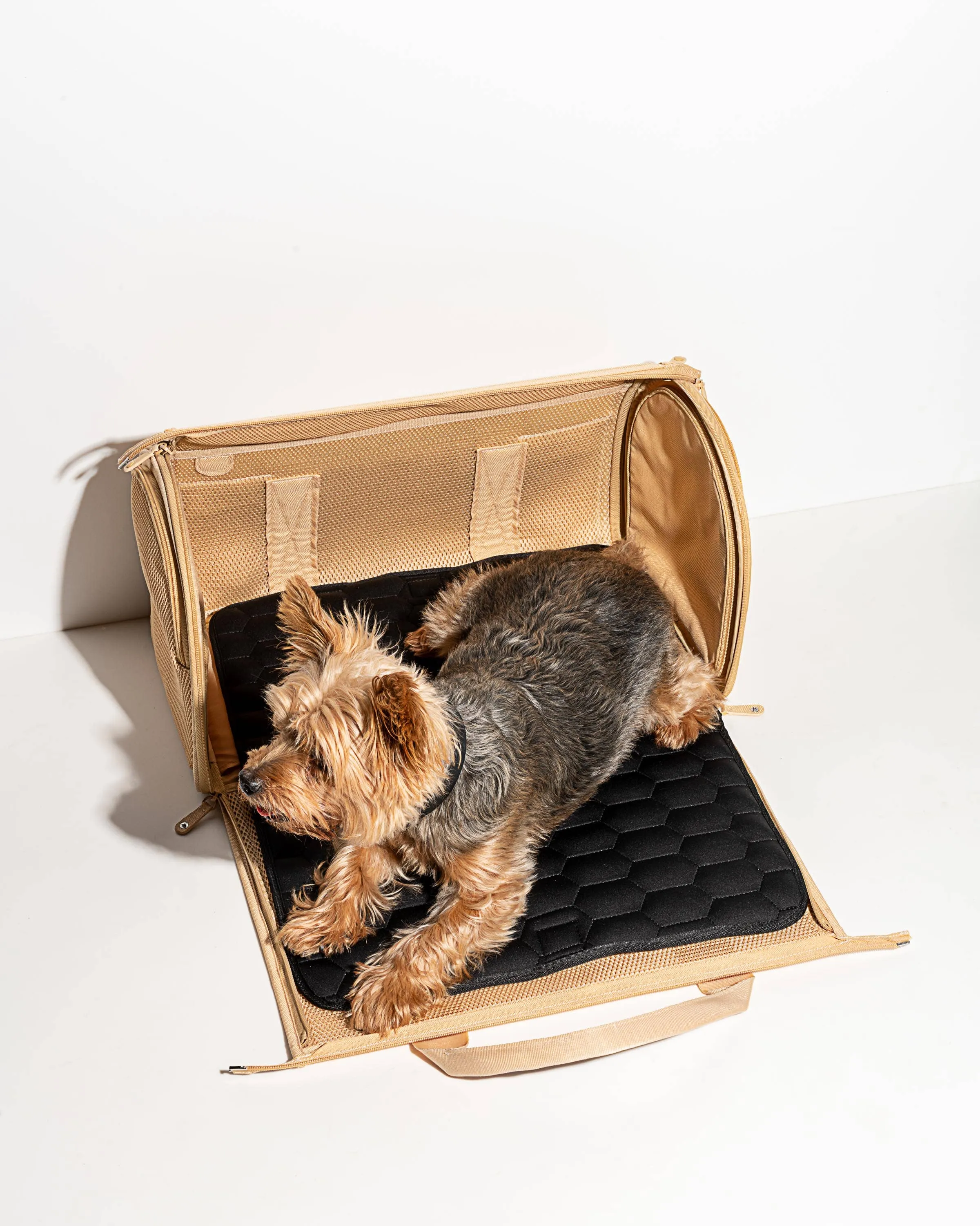 Wild One - Travel TSA Compliant Pet Dog Carrier